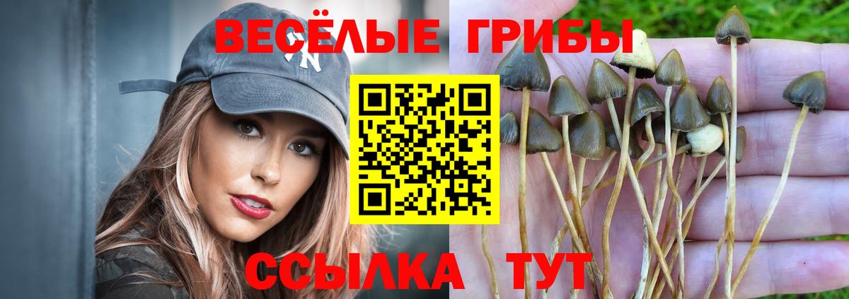 Псилоцибиновые грибы мицелий  Псилоцибиновые грибы ЛСД  Вход с VPN  Щёлково 